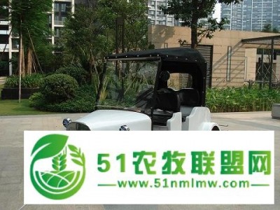 四座老爷车A款图1