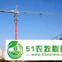 25吨大型水坝建设使用塔机 臂长80米臂端3吨塔式起重机 独立高度77米塔机 QTZ500塔吊 TC8030全国成员之一大型吊 尖头塔机 与法国波坦德国利勃海尔质量相当 耐高温 耐俄罗斯低温 防锈防腐