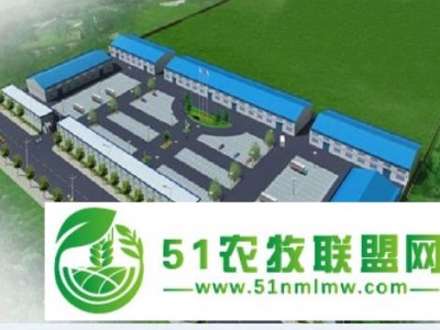 供应履带式起重机项目可行性研究报告图1