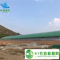 肉牛养殖大棚搭建 养牛棚建设 牛舍安装成本