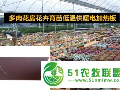 多肉花房取暖电热板暖房温室大棚加温设备花卉育苗低温供暖电加热板图1