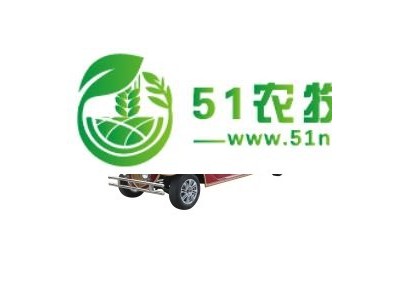 玛西尔 电动老爷车DN-GB11-2图1