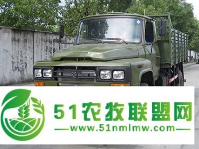 东风四驱尖头越野卡车供应，4x4驱动沙漠越野车报价出口，四驱尖头越野车价格图片图1