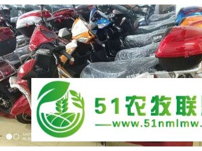 欧妮雅电动车代理应该需要注意哪些事项？图1