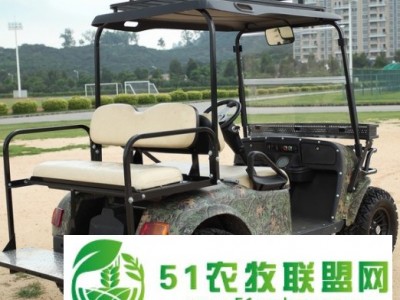 敖翔越野四轮电动车四驱4座AX-C2-4X4图1