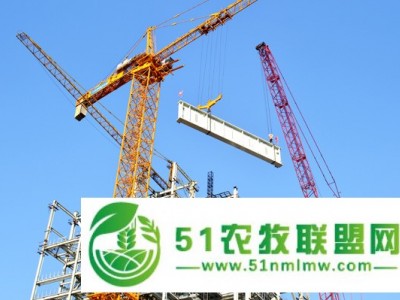 河南塔吊租赁报价_为您****好的塔式起重机租赁图1