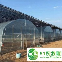 圆拱薄膜温室 薄膜蔬菜大棚 高质量 高信用