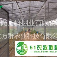 寿光方群蔬菜温室大棚建设