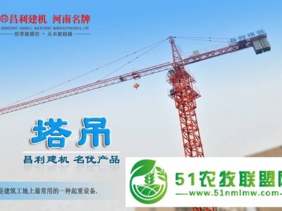 昌利建机塔式起重机塔吊厂家图1