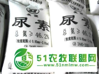 连云港墟沟尿素厂家供应图1