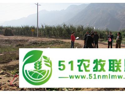 蔬菜尾菜堆沤处理腐解菌剂十亿含量厂家及价格图1