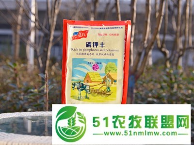 **磷酸二氢钾，粉末磷酸二氢钾图1