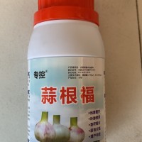 大蒜增产好肥料蒜根福200ml/瓶，用三遍增产看得见