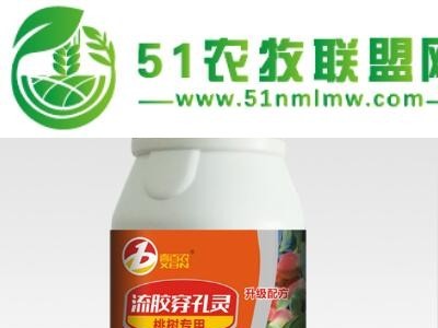 流胶穿孔灵 桃树* 500ml 缓解桃树流胶病 穿孔病 腐烂病图1