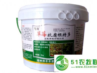 草莓抗腐根特多**草莓不生新根 根腐病 红中柱根腐病 黄枯萎病好农药图1