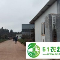 云南成翔农业公司有机肥生产厂家