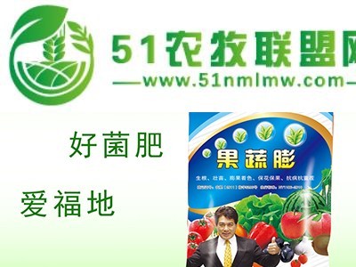 添加腐植酸的冲施肥 果蔬膨 含微量元素水溶肥图1