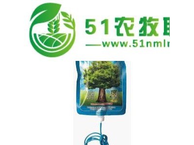 沐阳森林狼苗木速长肥图1