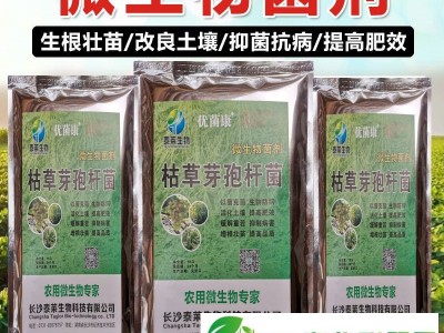 瓜果蔬菜苗木防根腐抗重茬增根壮苗防治土传病害微生物图1