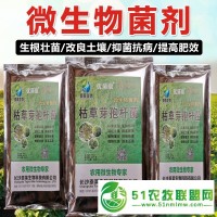 瓜果蔬菜苗木防根腐抗重茬增根壮苗防治土传病害微生物