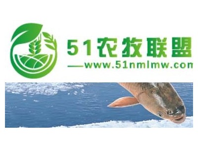东升脆肉鲩批发多少钱一斤图1