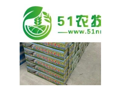 查干湖鱼经销公司 长春卖查干湖**鱼价格+长春卖查干湖**鱼价格图1