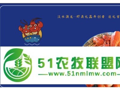 麻辣小龙虾 澳优龙新一代小龙虾 虾卡预售 一卡在手 吃虾不愁图1