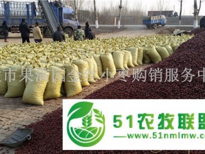 厂家批发养殖饲料枣牛羊食用适口性好价格低图1