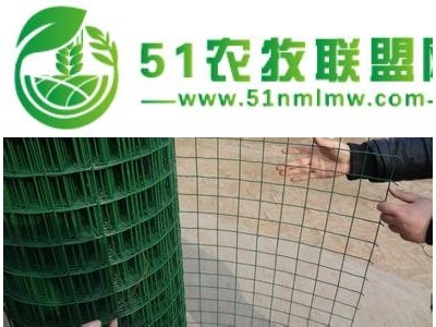 农场、果园、圈地养殖养鸡围栏网图1