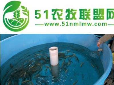 瑞泽*加工养殖设备玻璃钢鱼苗孵化池2000*500mm玻璃钢厂家批发图1