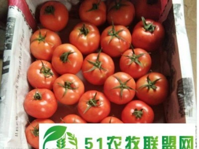 五丰养殖图1