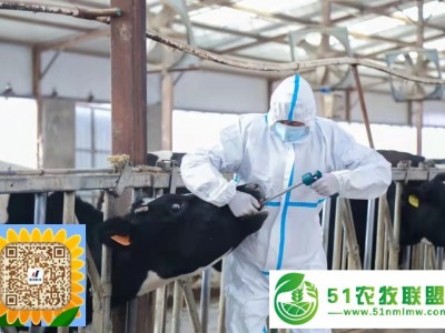 牛瘤胃胶囊五图1