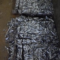 山东威海乳山鲅鱼营养分析及功效