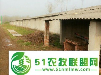 襄阳土元养殖可以选择启航养殖场图1