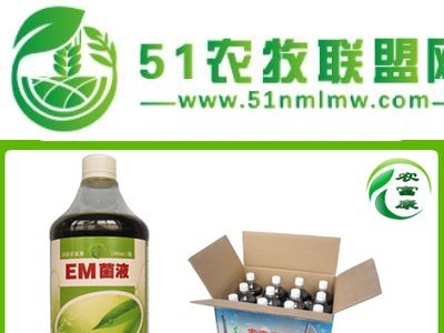EM菌液在猪养殖中的具体应用|郑州养猪*em益生菌em菌液饮水保健液怎么购买图1