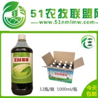 EM菌液在猪养殖中的具体应用|郑州养猪*em益生菌em菌液饮水保健液怎么购买