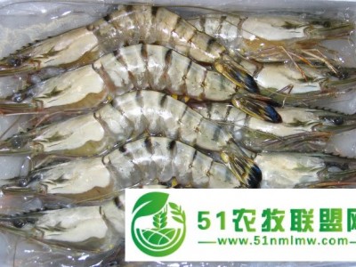 进口巴沙鱼清关图1