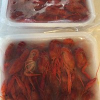 合肥清水冻虾****批发价格