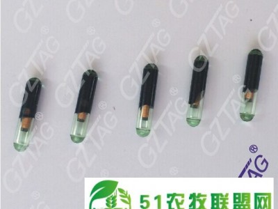 1.4*8mm动物芯片标签，种鱼PIT标记,鱼类植入芯片,防止近亲繁殖,优化基因图1