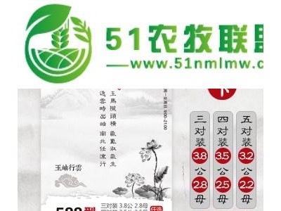 上海大闸蟹企业采购|上海大闸蟹商城图1