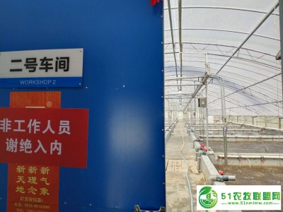 养殖车间图1