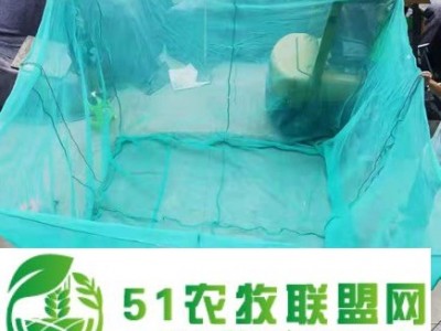 大连 网箱图1