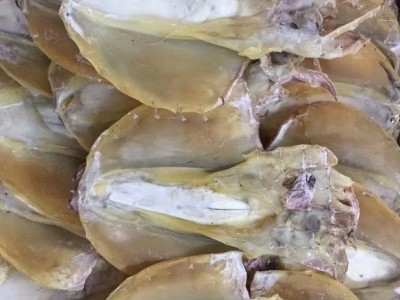 墨鱼干批发厂家 淡晒墨鱼干 小墨鱼干 大墨鱼干批发 厂家批发墨鱼干图1