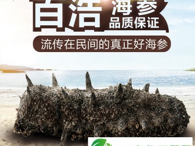 百浩牌**淡干海参礼盒 两种包装均可图1