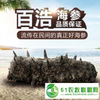 百浩牌**淡干海参礼盒 两种包装均可