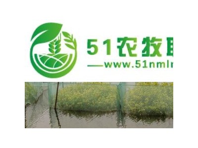 养殖网水蛭养殖网报价图1