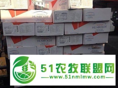 进口海鲜清关图1