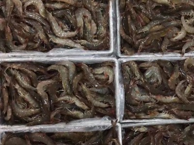 南美大虾6盒装40-50规格图1