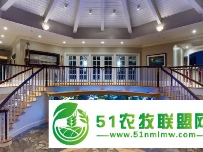 ，广州珠江新城卖鱼缸，广州海珠区订做鱼缸图1