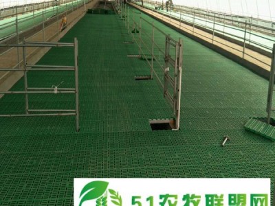 鑫盛(图)-塑料漏粪板制造商-河北塑料漏粪板图1